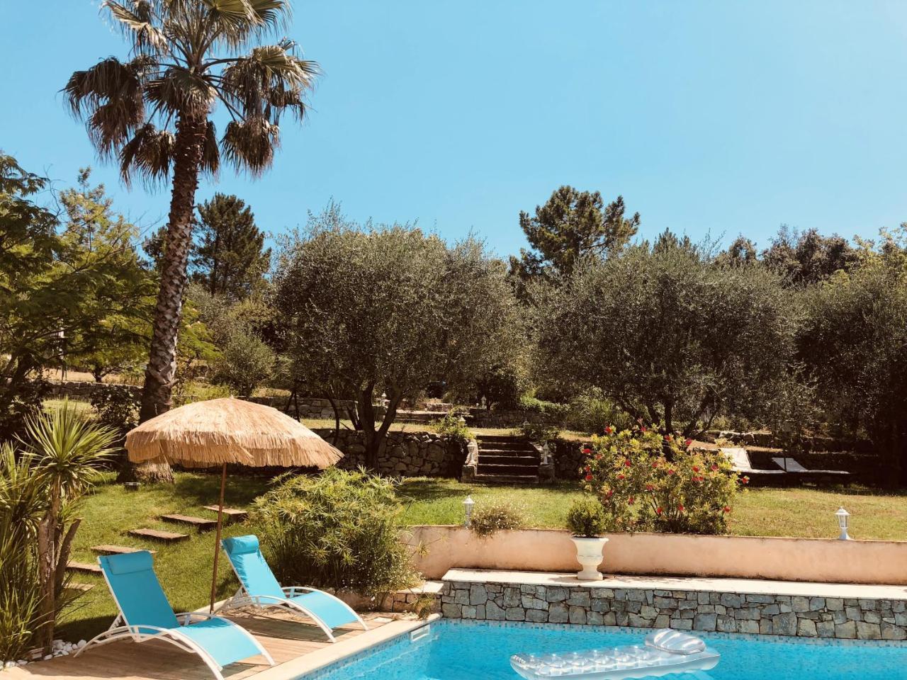Maison De Vacances Villa Cardabella Le Tignet Екстер'єр фото